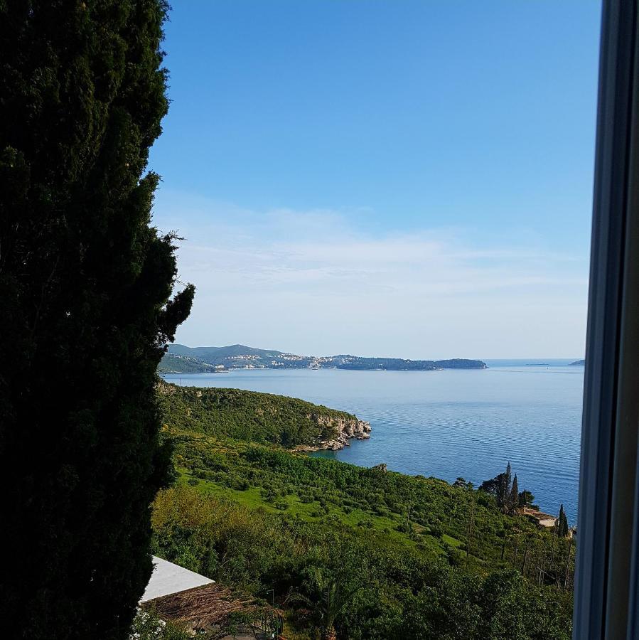 Villa Barbara 믈리니 외부 사진